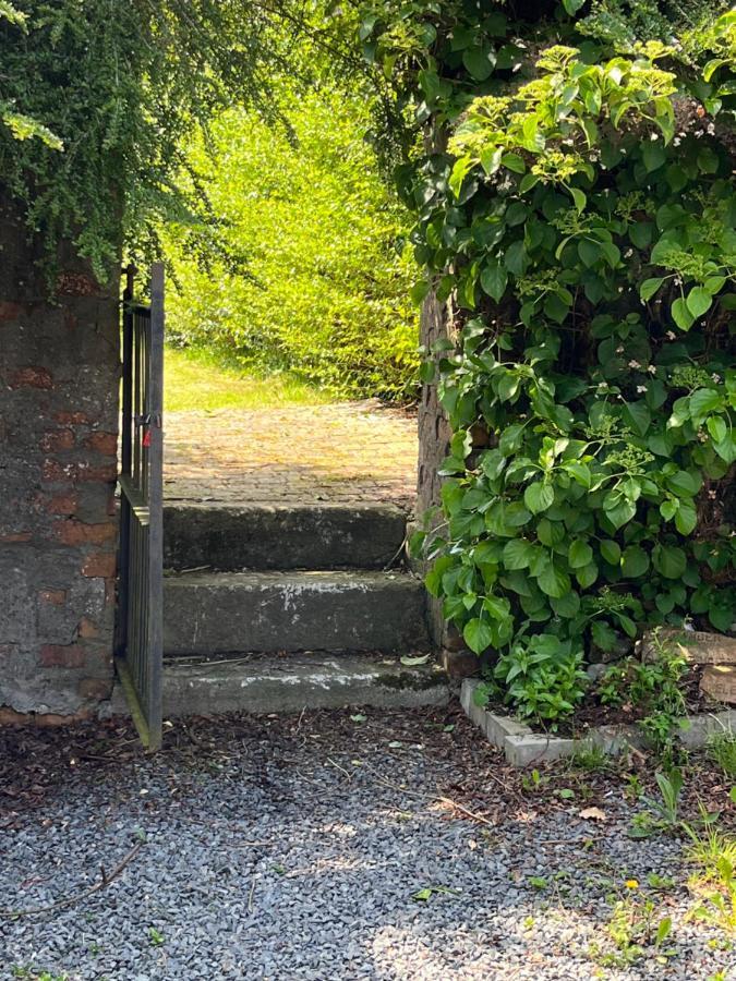 Ringfort Manor Rathfriland Dış mekan fotoğraf